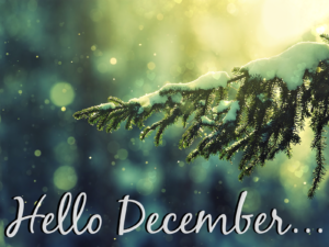 December Newsletter